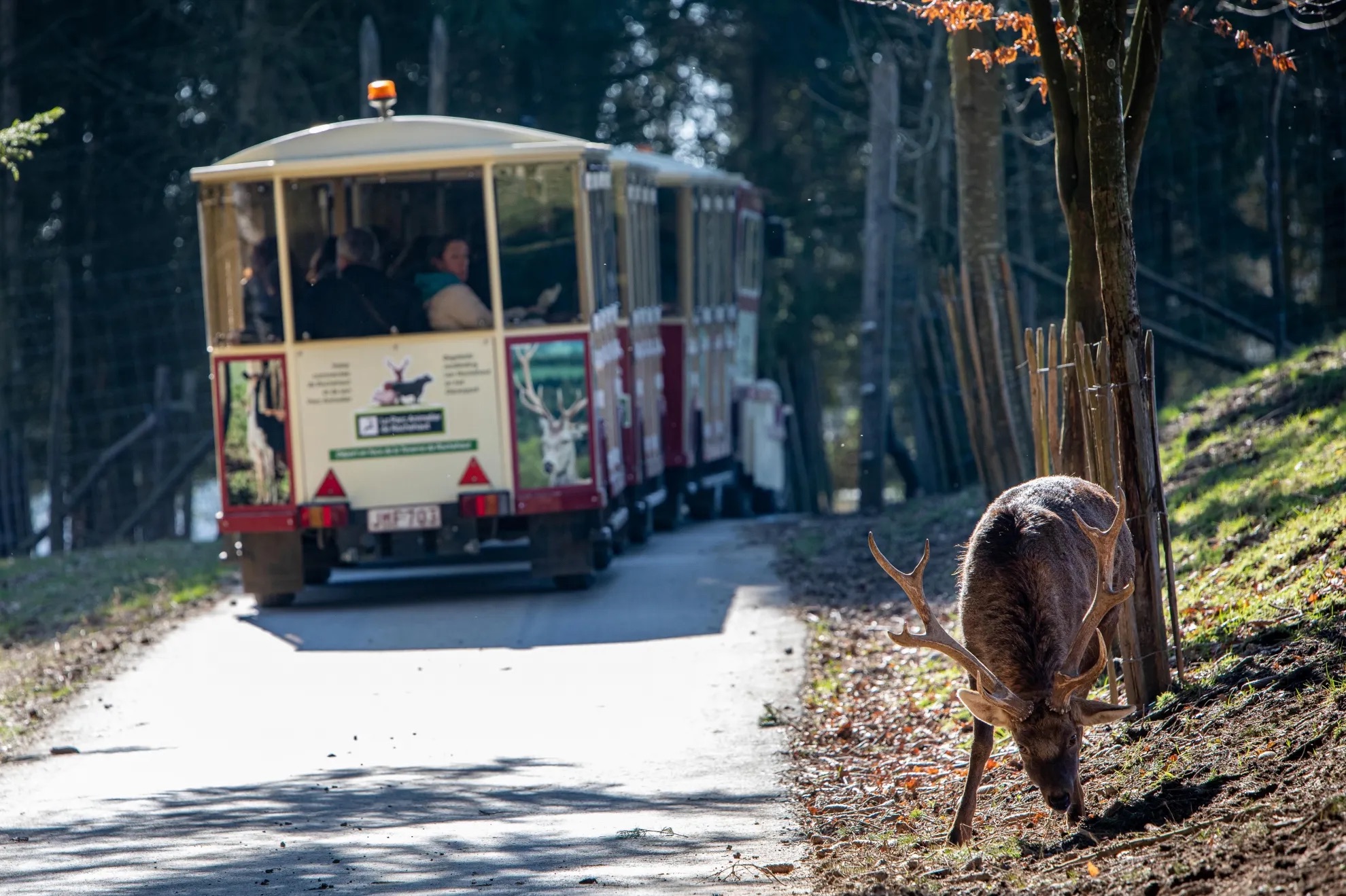 Parc animalier de Rochehaut